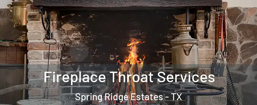 Fireplace Throat Services Spring Ridge Estates - TX