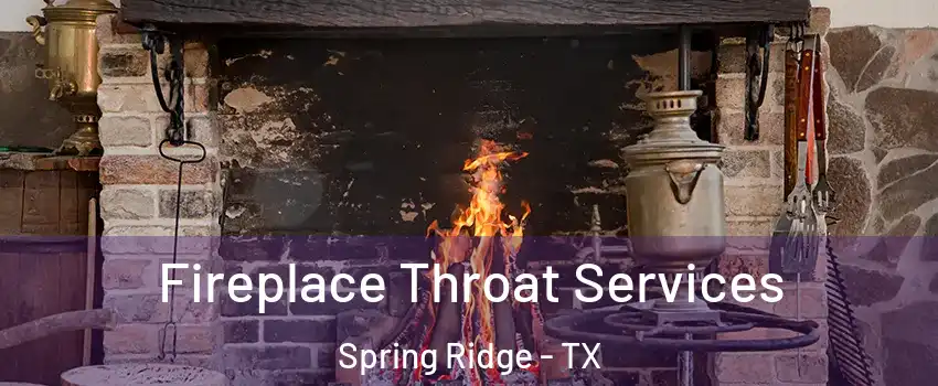 Fireplace Throat Services Spring Ridge - TX