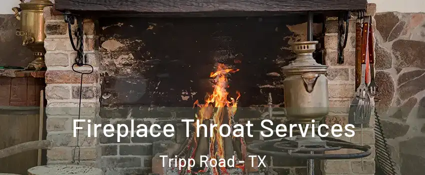 Fireplace Throat Services Tripp Road - TX