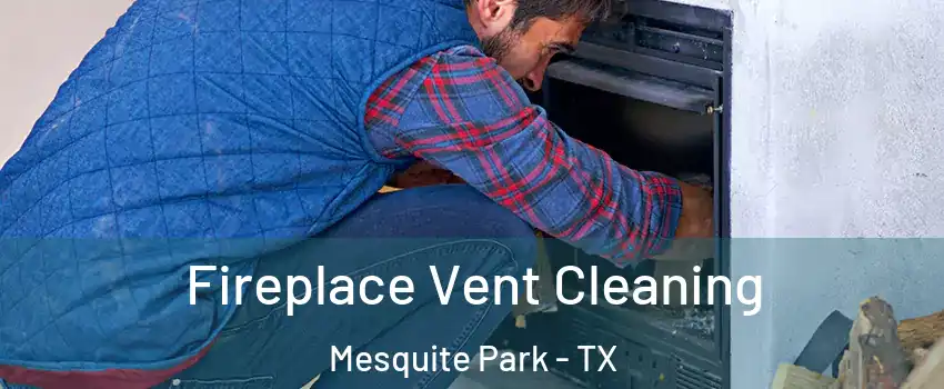 Fireplace Vent Cleaning Mesquite Park - TX