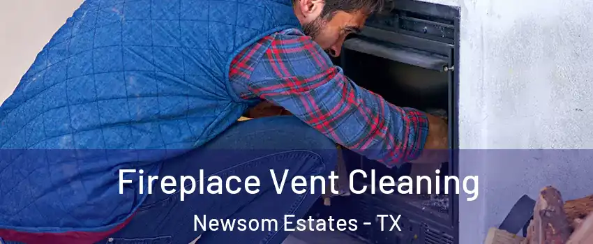 Fireplace Vent Cleaning Newsom Estates - TX
