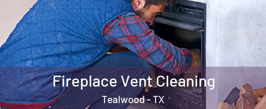 Fireplace Vent Cleaning Tealwood - TX