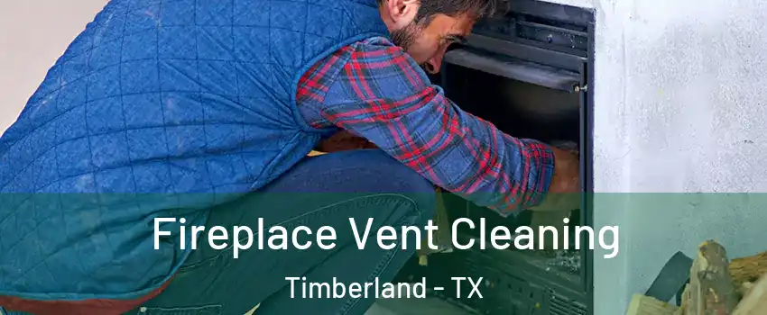 Fireplace Vent Cleaning Timberland - TX