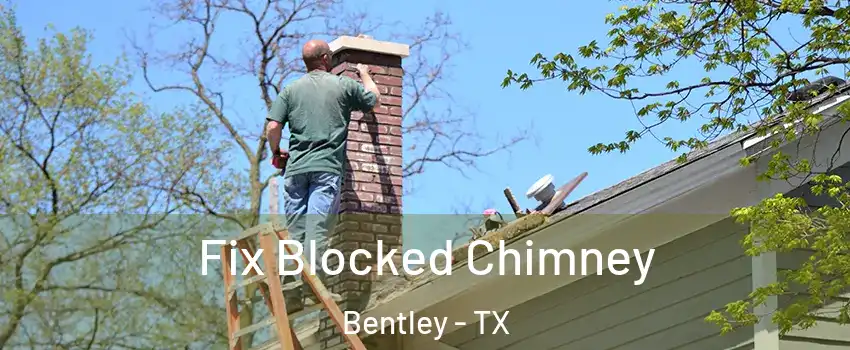 Fix Blocked Chimney Bentley - TX