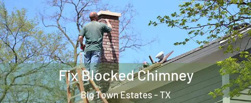 Fix Blocked Chimney Big Town Estates - TX