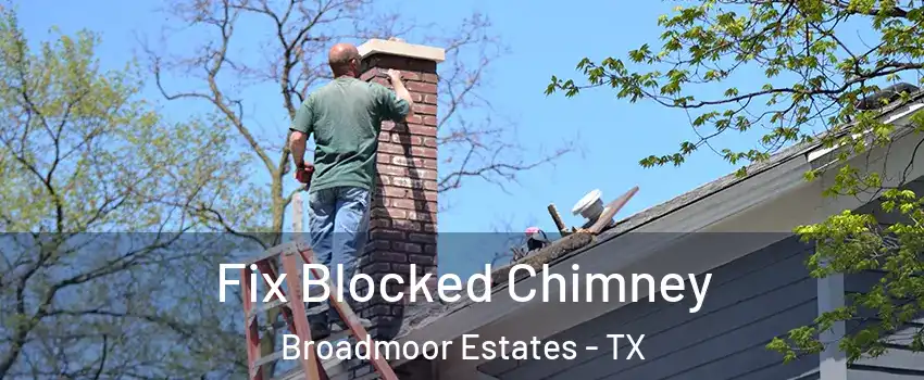 Fix Blocked Chimney Broadmoor Estates - TX