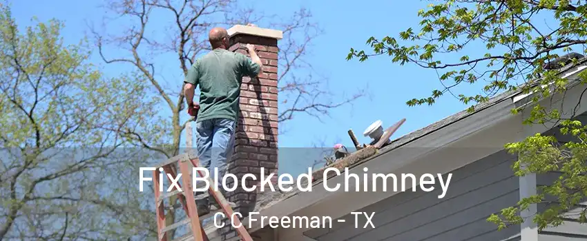 Fix Blocked Chimney C C Freeman - TX