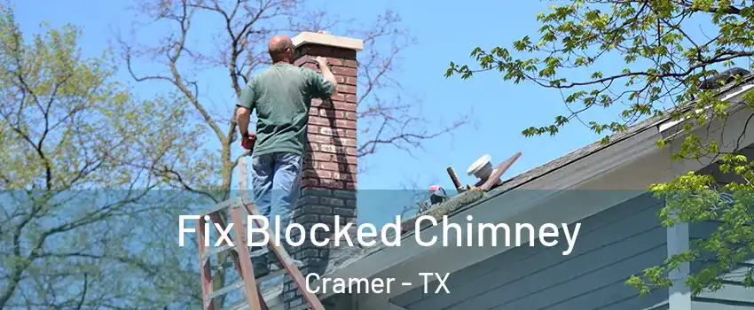 Fix Blocked Chimney Cramer - TX