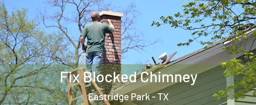 Fix Blocked Chimney Eastridge Park - TX