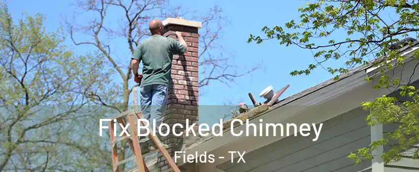 Fix Blocked Chimney Fields - TX