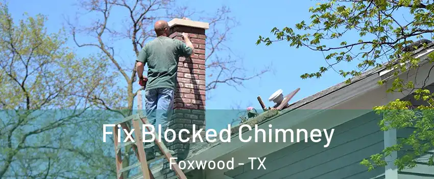 Fix Blocked Chimney Foxwood - TX