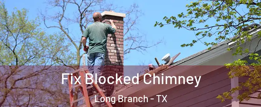 Fix Blocked Chimney Long Branch - TX