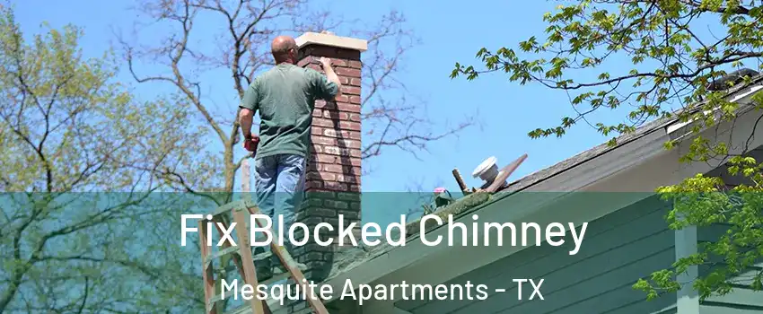 Fix Blocked Chimney Mesquite Apartments - TX