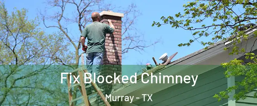 Fix Blocked Chimney Murray - TX