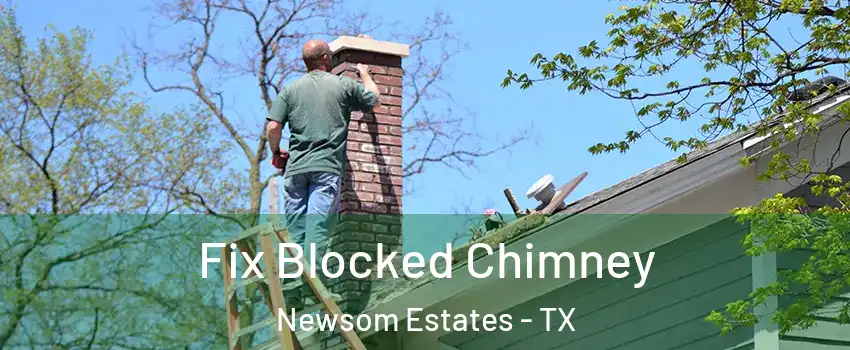 Fix Blocked Chimney Newsom Estates - TX