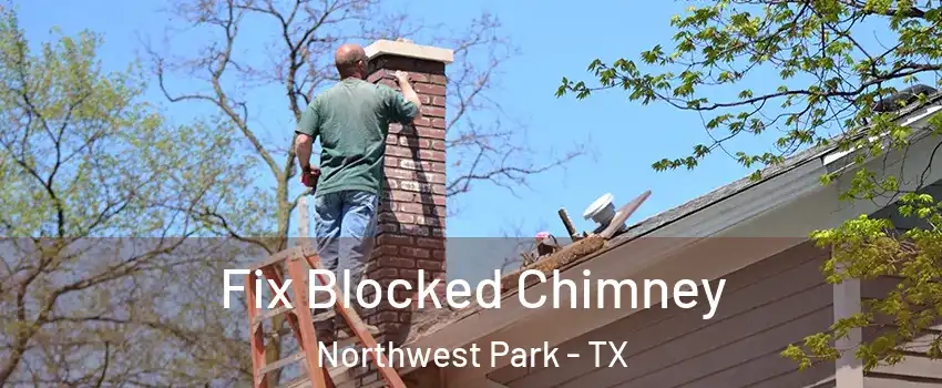 Fix Blocked Chimney Northwest Park - TX