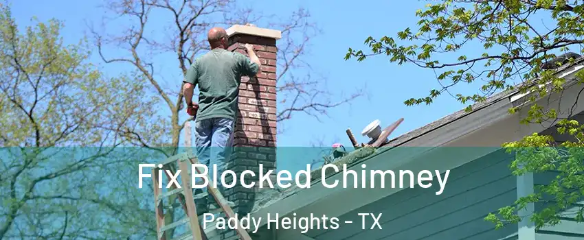 Fix Blocked Chimney Paddy Heights - TX