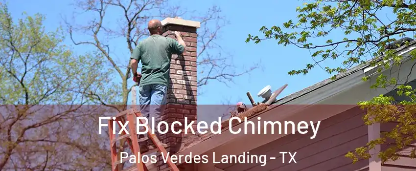 Fix Blocked Chimney Palos Verdes Landing - TX