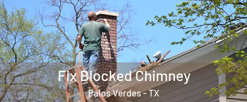 Fix Blocked Chimney Palos Verdes - TX