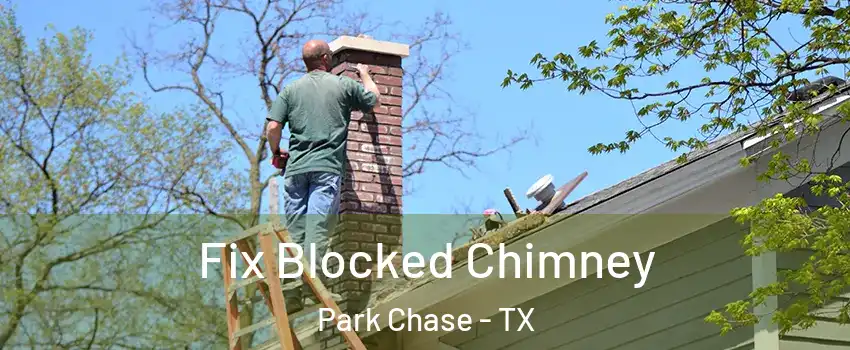 Fix Blocked Chimney Park Chase - TX