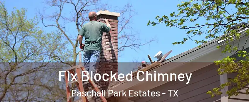 Fix Blocked Chimney Paschall Park Estates - TX