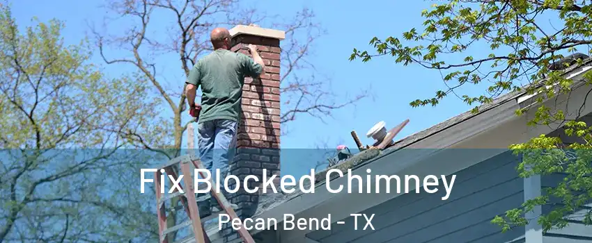 Fix Blocked Chimney Pecan Bend - TX