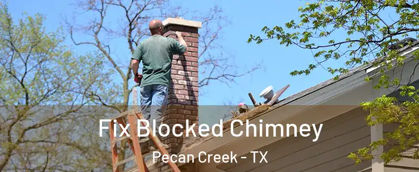 Fix Blocked Chimney Pecan Creek - TX