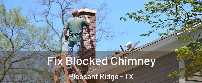 Fix Blocked Chimney Pleasant Ridge - TX