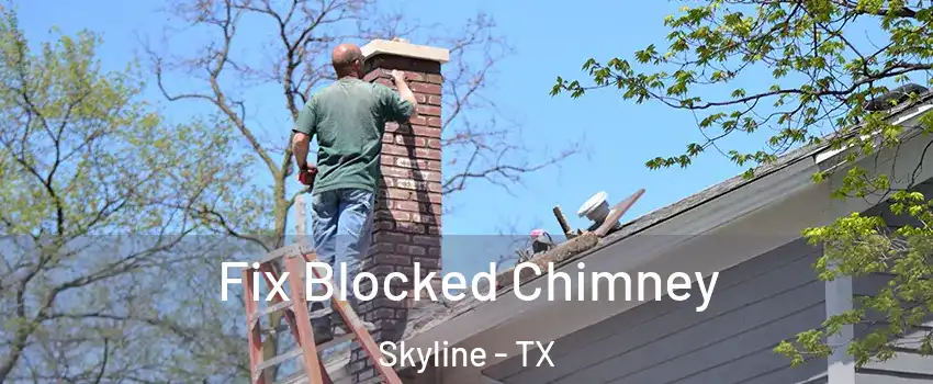 Fix Blocked Chimney Skyline - TX