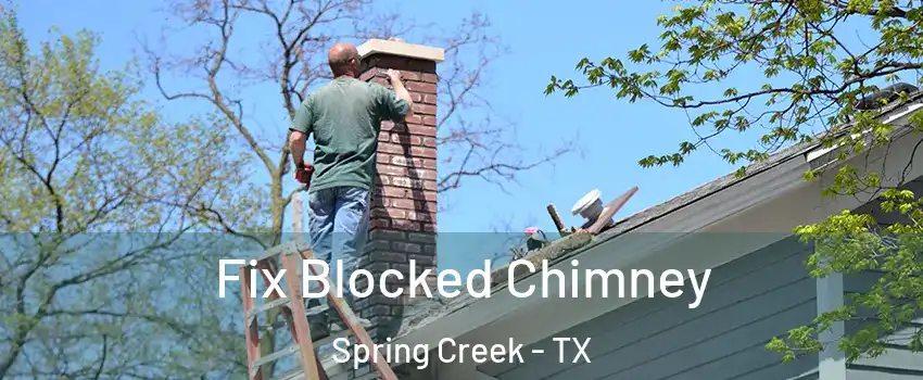 Fix Blocked Chimney Spring Creek - TX