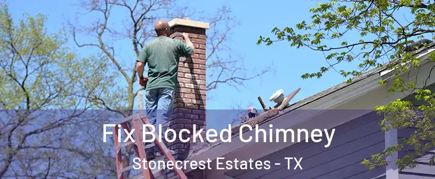 Fix Blocked Chimney Stonecrest Estates - TX