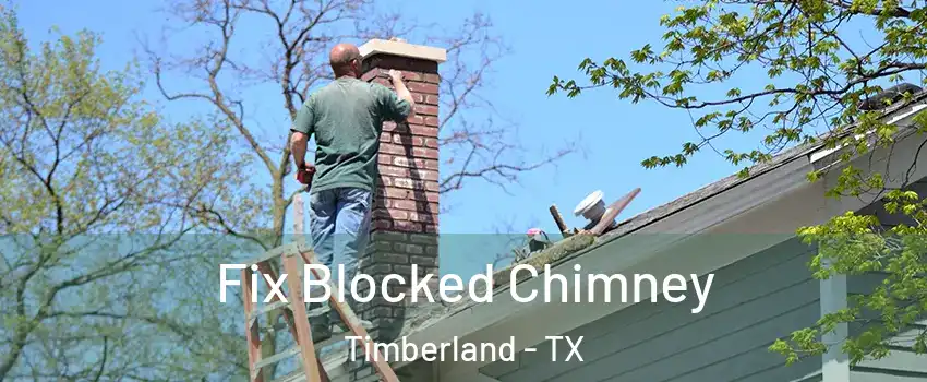 Fix Blocked Chimney Timberland - TX