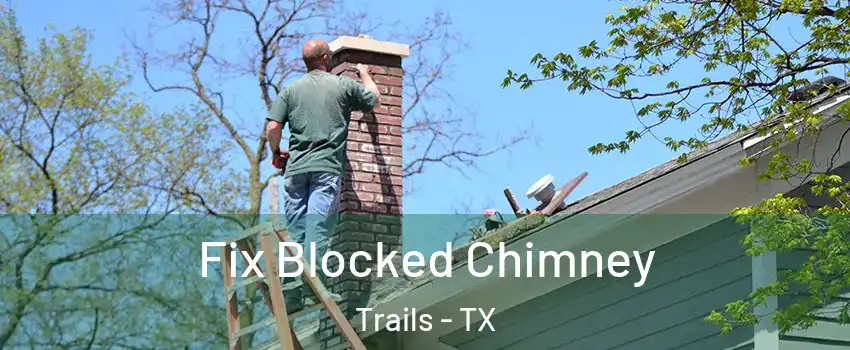 Fix Blocked Chimney Trails - TX