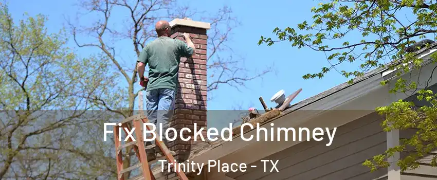 Fix Blocked Chimney Trinity Place - TX
