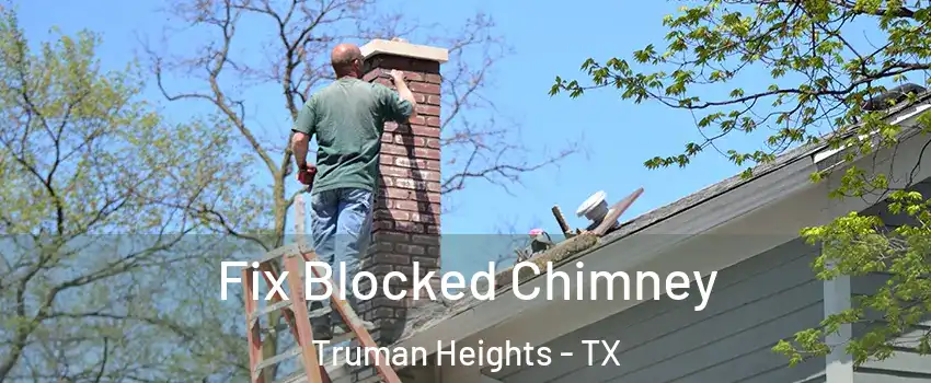 Fix Blocked Chimney Truman Heights - TX