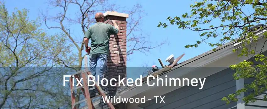 Fix Blocked Chimney Wildwood - TX