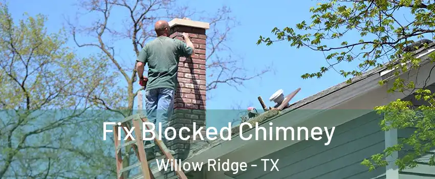 Fix Blocked Chimney Willow Ridge - TX