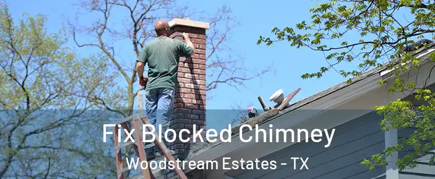 Fix Blocked Chimney Woodstream Estates - TX