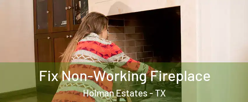 Fix Non-Working Fireplace Holman Estates - TX