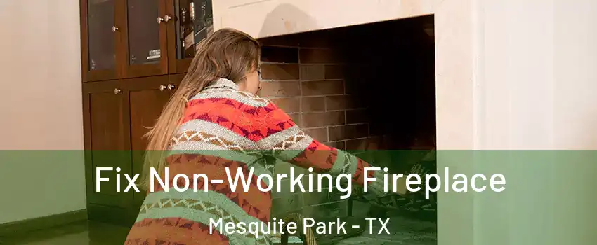 Fix Non-Working Fireplace Mesquite Park - TX