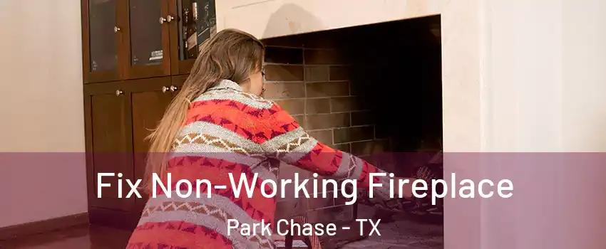 Fix Non-Working Fireplace Park Chase - TX