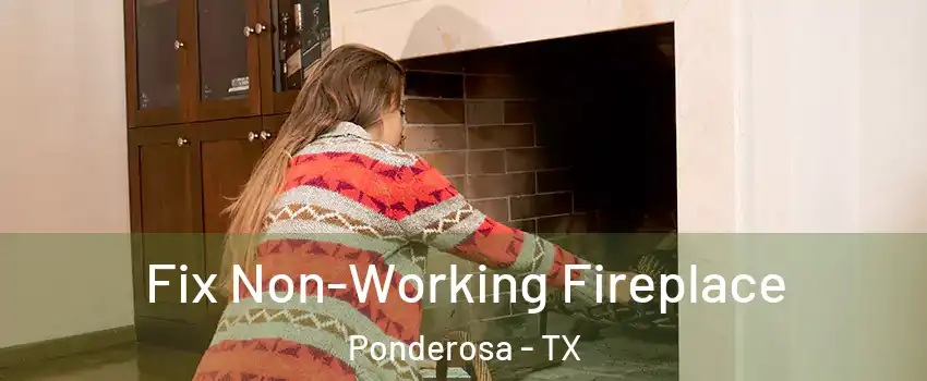 Fix Non-Working Fireplace Ponderosa - TX