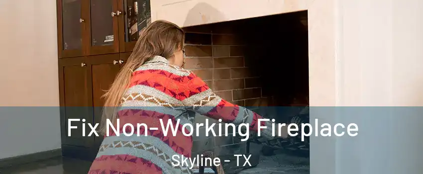 Fix Non-Working Fireplace Skyline - TX