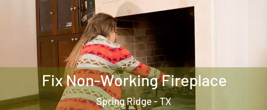 Fix Non-Working Fireplace Spring Ridge - TX