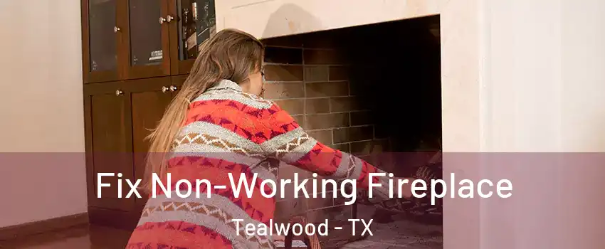 Fix Non-Working Fireplace Tealwood - TX