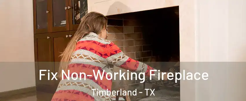 Fix Non-Working Fireplace Timberland - TX