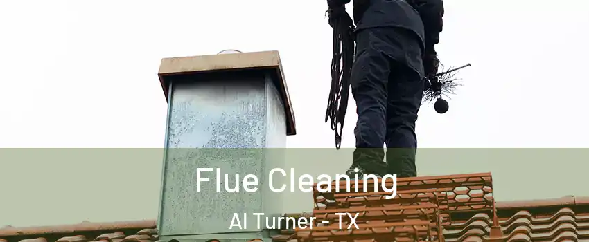 Flue Cleaning Al Turner - TX