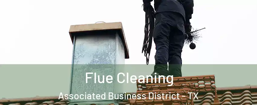Flue Cleaning Associated Business District - TX
