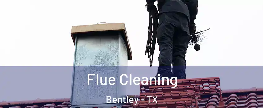 Flue Cleaning Bentley - TX