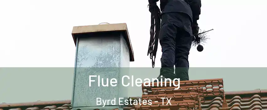 Flue Cleaning Byrd Estates - TX